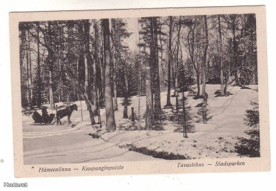 HÄMEENLINNA: Kaupunginpuisto, reki, hevonen (Rytkösen kust.)