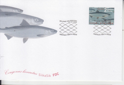FDC 2000 silakka