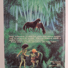 Astrid Lindgren : Ronja, ryövärintytär - pikkukuva 2