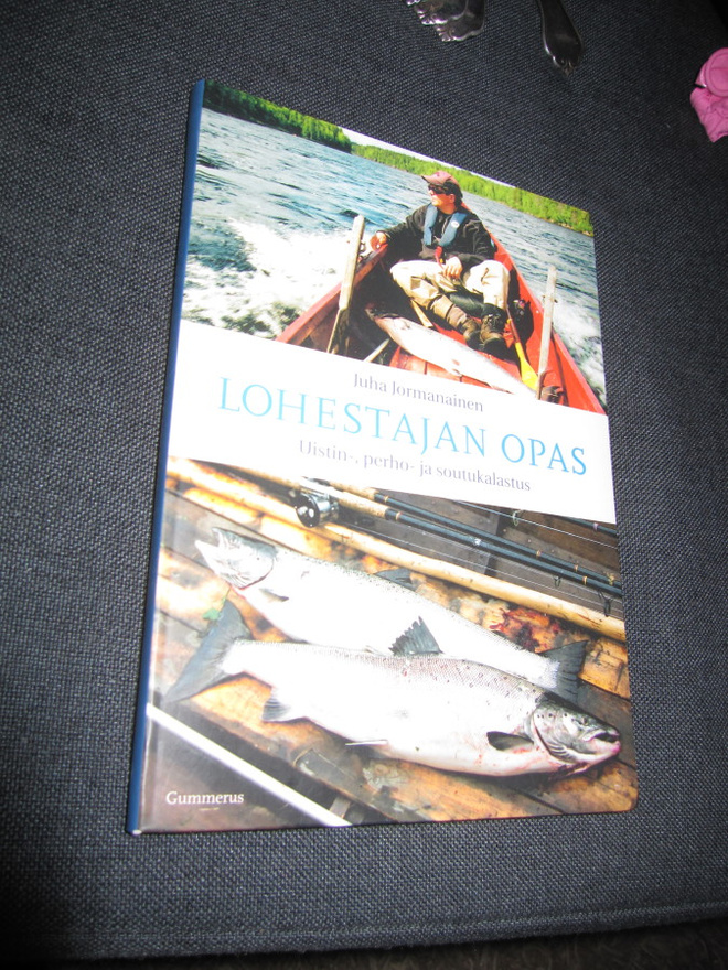Lohestajan opas - Juha Jormanainen
