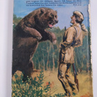 Walt Disney : Davy Crockett - Vildmarkens hjälte : en ber... - pikkukuva 2