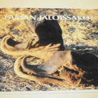Laman jaloissako? (vuotakengät), väripk, p. 2010 - pikkukuva 1