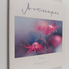 Amanda Kay ym. : Artscapes - Tasmania - pikkukuva 1