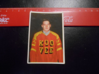 K15 Jenkki Jääkiekko-sarja # 100 Rauno Lehtiö Koo-Vee