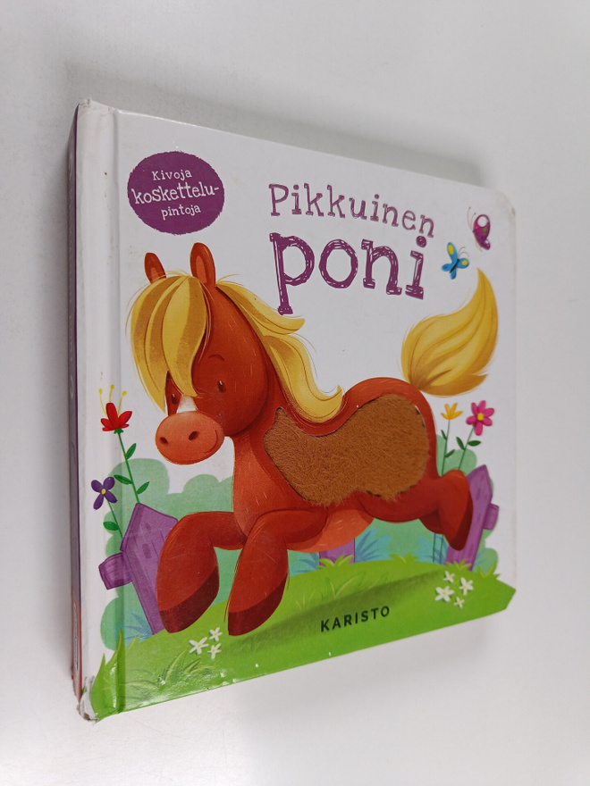 Pikkuinen poni