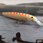 Rapala barra magnum - pikkukuva 2