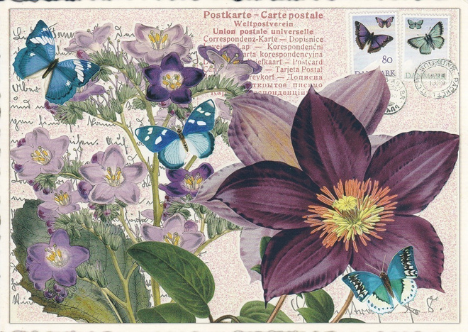 Tummanvioletti kukka (Tausendschön-kortti)