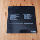 Freedom And Existence lp 2006 Punk, Hardcore nm - pikkukuva 2