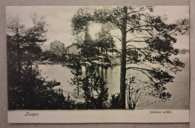 Kuopio: Julkulan mökki *** (831)