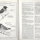 Lintumies n:o 6 1985 Katso kuvat. - pikkukuva 2