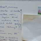 kissa makaa korissa, Lämmim ajatus...kulkenut - pikkukuva 2