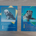 Hauskat koirakortit - pikkukuva 1
