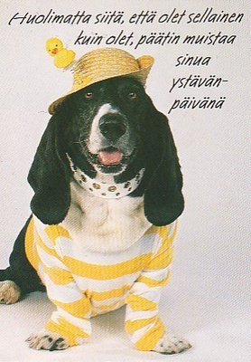 Postikortti, Eläinaihe, eläimet ,koira