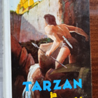 KIRJA : TARZAN : JA KULTAKAUPUNKI 1 PAINOS VUOSI 1973 - pikkukuva 1
