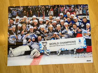 Pikkuleijonat 2016 juliste