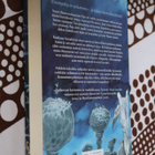 Paul Stewart & Chris Riddell : Santafraxin ikiyö (1.p. 2007) - pikkukuva 2