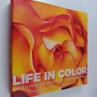 Life in color : National Geographic photographs - pikkukuva 1