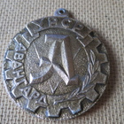 Ukrainan SNT: Avantgardisti-mitali - pikkukuva 1