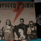 HAYSEED DIXIE ~ A Hillbilly Tribute To AC/DC ~ LP - pikkukuva 1