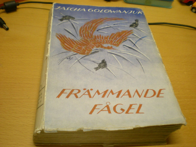 Jascha Golowanjuk: Främmande fågel