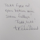 Kristin Steinsdottir : Omaa tietä : romaani (signeerattu,... - pikkukuva 3