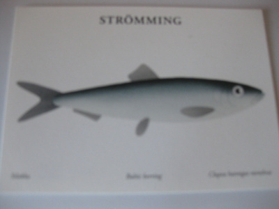 Strömming, silakka