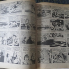 Mustanaamio super-mustis-kirja vuodelta 1975 - pikkukuva 3