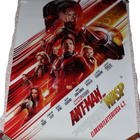 Elokuvajuliste: Ant-Man and the Wasp - pikkukuva 1