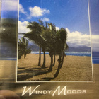 VINDIGE ZEITEN - WINDY MOODS - pikkukuva 1