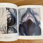 Taschen - Georgia O'Keeffe kirja - pikkukuva 3