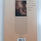 Salme Aejmelaeus : Terijoen vuokot - pikkukuva 2