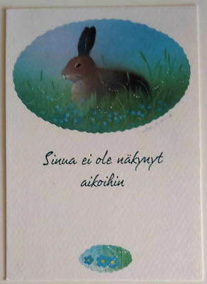 JAANA AALTO "Pupu heinikossa"-KULKEMATON POSTIKORTTI