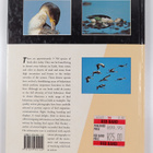 Phil Hockey : Birds in action - pikkukuva 2