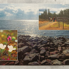 Utajärvi, Rokua - pikkukuva 1