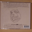 Devendra Banhart: Rejoicing in the Hands - pikkukuva 2