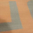 CONVERSE persikka nude harmaa tähti logo kaulaliina - pikkukuva 5