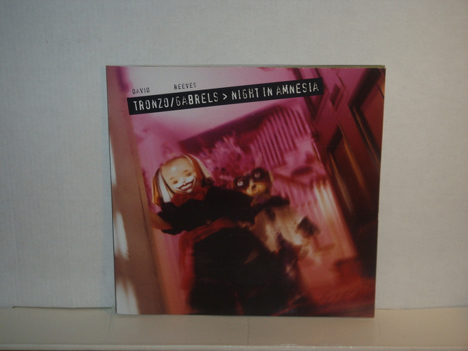 David Tronzo*Reeves Gabrels CD Night In Amnesia