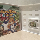 3DS: Home Town Story CIB - pikkukuva 3