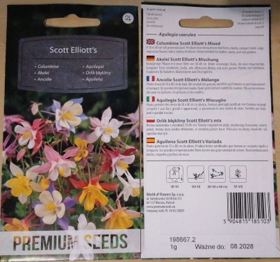 Akileija 'Scott Elliott's' - siemenet #