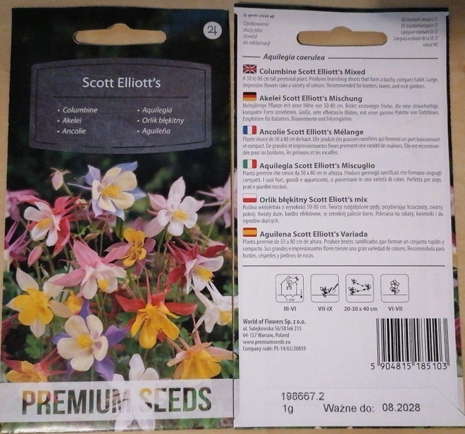 Akileija 'Scott Elliott's' - siemenet #