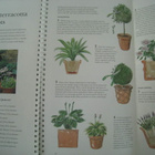  Puutarhakirja Gardening with containers – ruukku viljely - pikkukuva 3