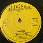 THE HIPPOLYTES: Dont Make Promises * I Love Sue * UK 1977 - pikkukuva 2