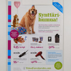 Koiramme 3/2013 - pikkukuva 2