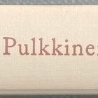 RIIKKA PULKKINEN: RAJA (KOVAKANTINEN)) - pikkukuva 1