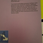 YDINPERHEESTÄ YKSILÖLLISTYVIIN PERHEISIIN - pikkukuva 2