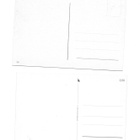 2 kpl °°KOIRA, KOIRAT°° -KORTTEJA - SETTI /(Nro 2) - pikkukuva 2