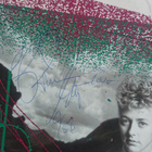 Brian Setzer ,Stray Cats , nimikirjoitus , Lp - pikkukuva 3