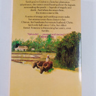 Victoria Holt : The spring of the tiger - pikkukuva 2