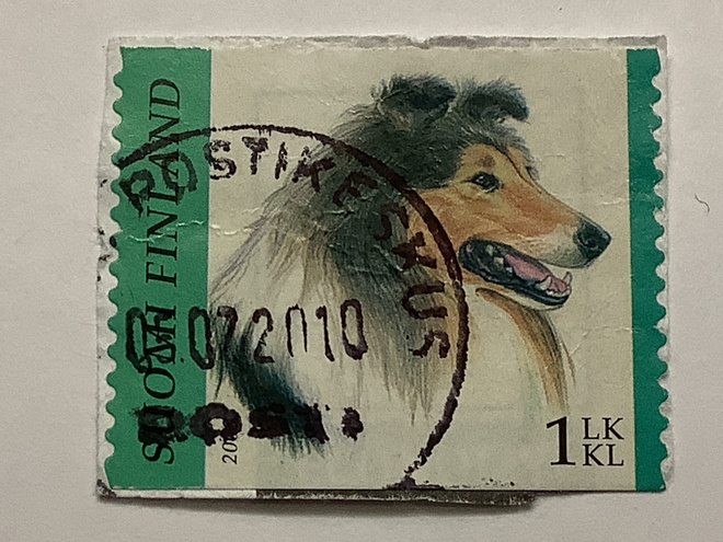 1915/ 2008 Koiria - Collie o leimattu loisto