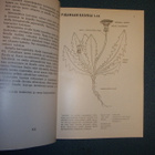 Esko Kivistö: NÄIN KERÄÄN KASVEJA (1.p.1965) Sis.postikulut - pikkukuva 5